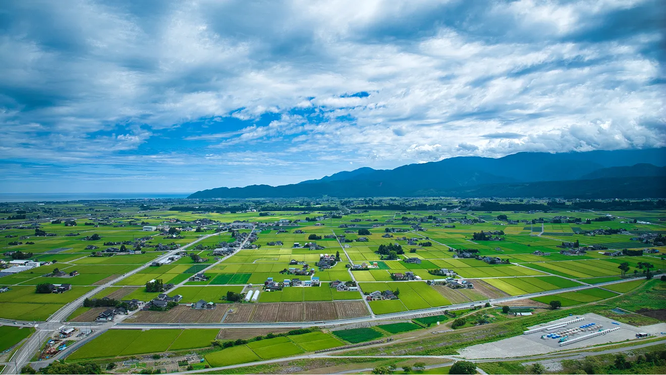 企業版ふるさと納税